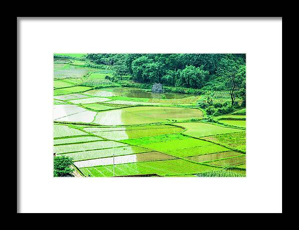 Rice Fields Framed Print featuring the photograph Rice fields scenery #16 by Carl Ning