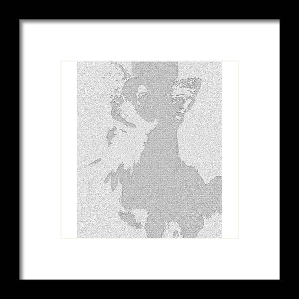 Dog Framed Print featuring the painting Family by Roro Rop