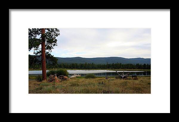 River Framed Print featuring the photograph Flaming Gorge National Park #17 by Ellen Tully