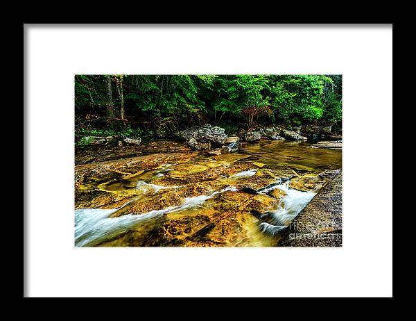 Williams River Framed Print featuring the photograph Williams River Summer #17 by Thomas R Fletcher
