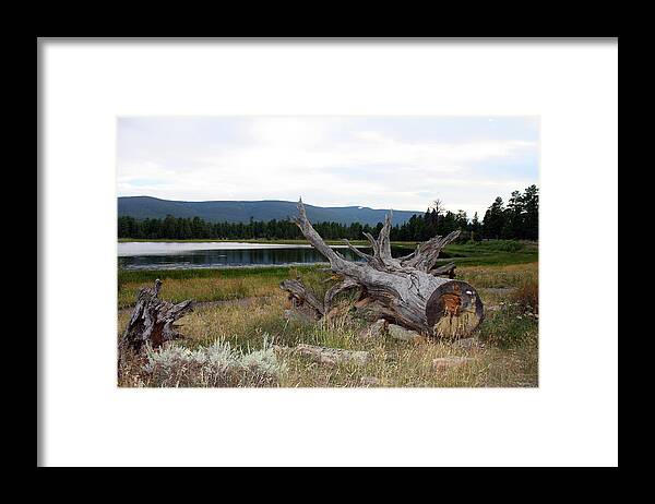 River Framed Print featuring the photograph Flaming Gorge National Park #18 by Ellen Tully