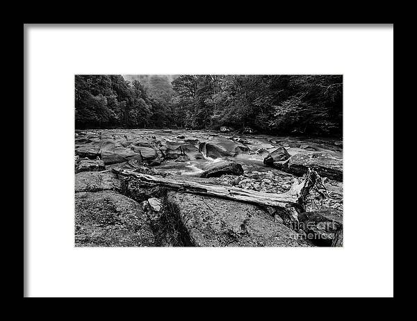 Williams River Framed Print featuring the photograph Williams River Summer #18 by Thomas R Fletcher