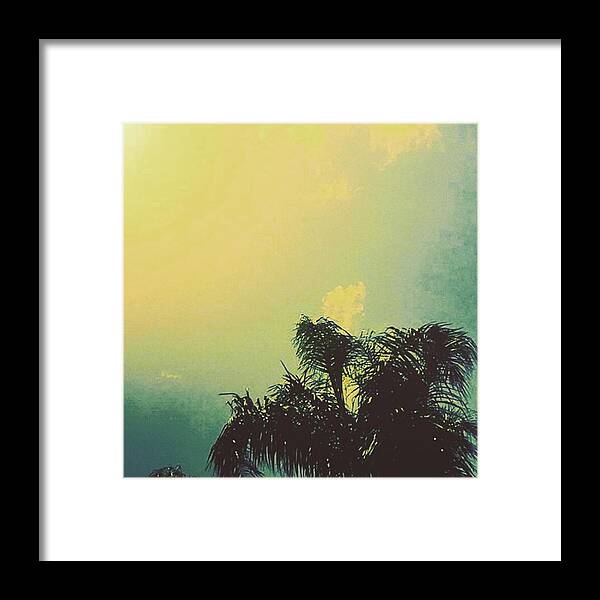 Palm Tree Summer Beach Vibes Cool Vacation Clouds Sky Nature Beauty Peace Outdoor Framed Print featuring the photograph Palm Trees by Linzie Olivier