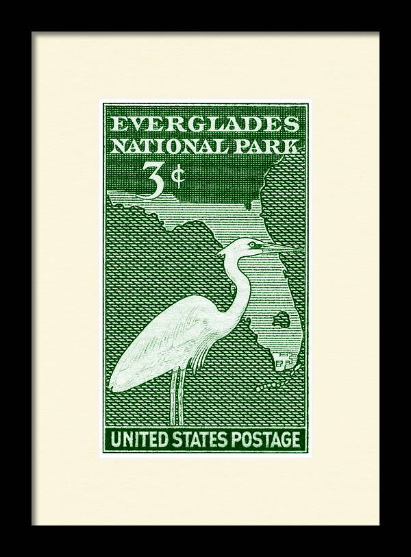 1947 Everglades Florida Stamp by Historic Image