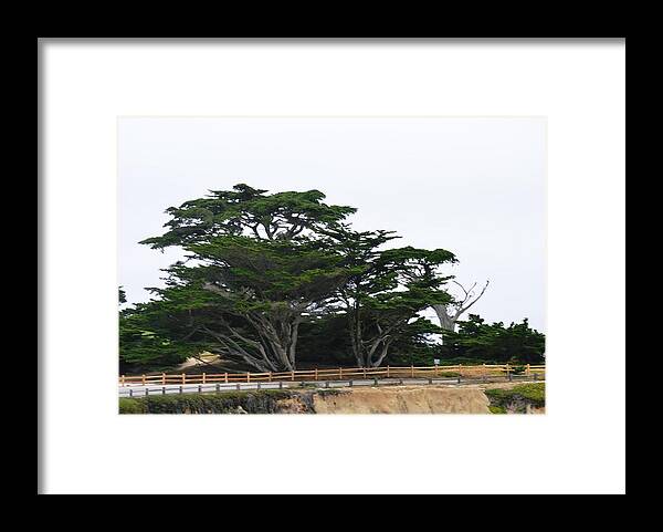 Landscape Framed Print featuring the photograph 17-Mile Drive #2 by Marian Jenkins