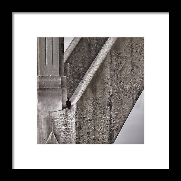 Architecture Framed Print featuring the photograph Architectural Detail #2 by Carol Leigh