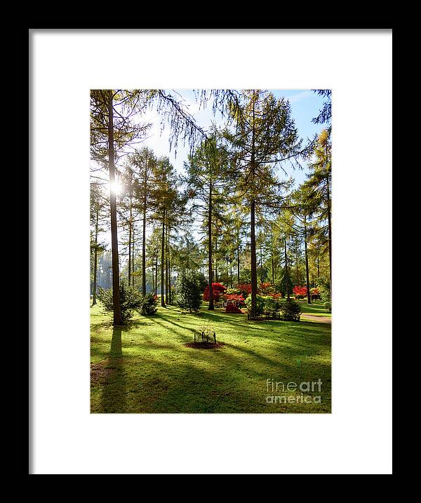 Autumn Framed Print featuring the photograph Autumn in the park by Colin Rayner