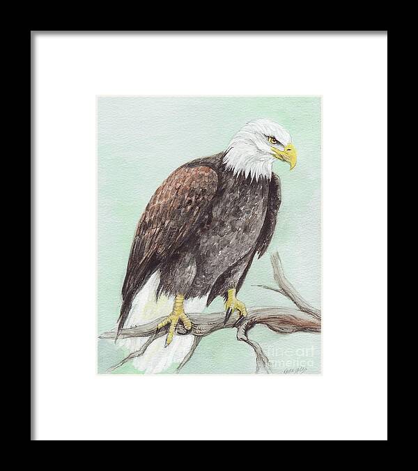 America Framed Print featuring the painting Bald Eagle by Morgan Fitzsimons