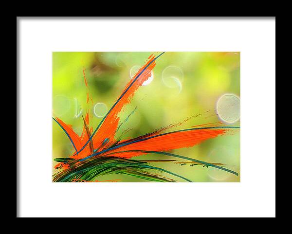 Bird Of Paradise Framed Print featuring the mixed media Bird of Paradise 2 by Kume Bryant