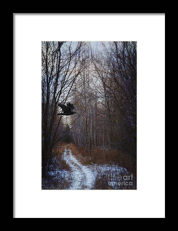 Autumn Framed Print featuring the photograph Black bird flying by in forest #2 by Sandra Cunningham