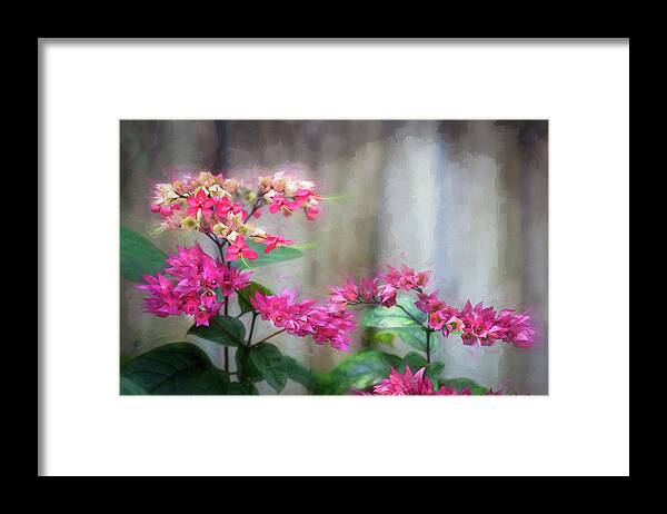 Bleeding Heart Framed Print featuring the photograph Bleeding Heart Flowers Clerodendrum Painted #2 by Rich Franco