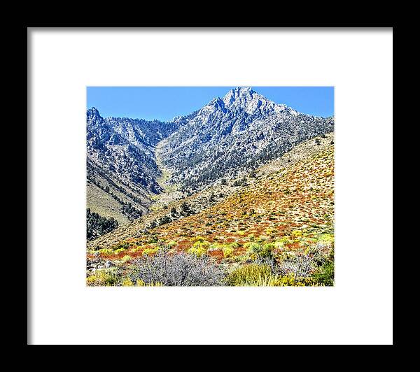 Sky Framed Print featuring the photograph Bountiful Desert #2 by Marilyn Diaz