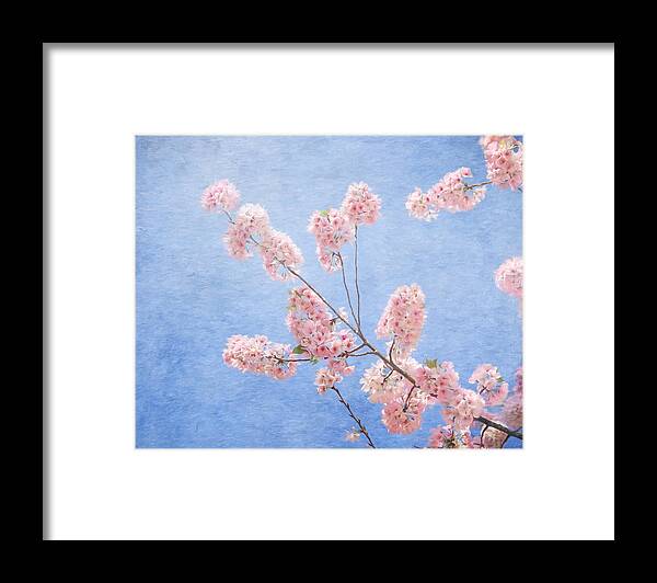 Cherry Blossom Framed Print featuring the photograph Cherry Blossoms #2 by Kim Hojnacki