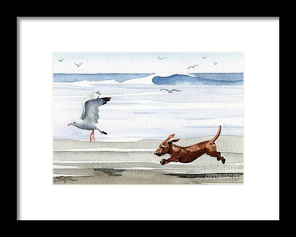 Dachshund Running Playing Seagull Beach Ocean Waves Shore Pet Dog Breed Canine Art Print Artwork Painting Watercolor Gift Gifts Picture Framed Print featuring the painting Dachshund at the Beach by David Rogers