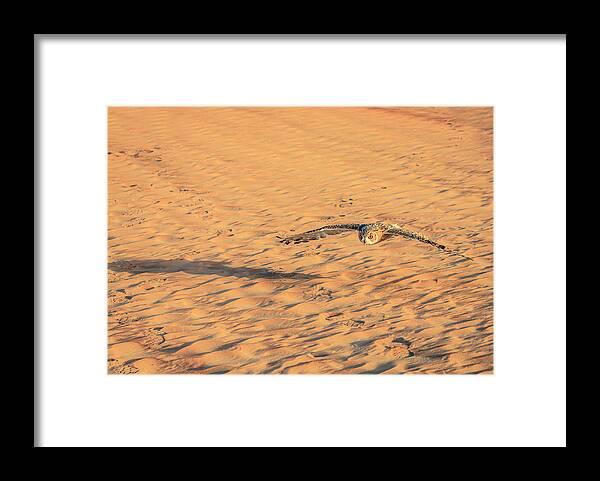 Dubai Framed Print featuring the photograph Desert Eagle Owl #2 by Alexey Stiop