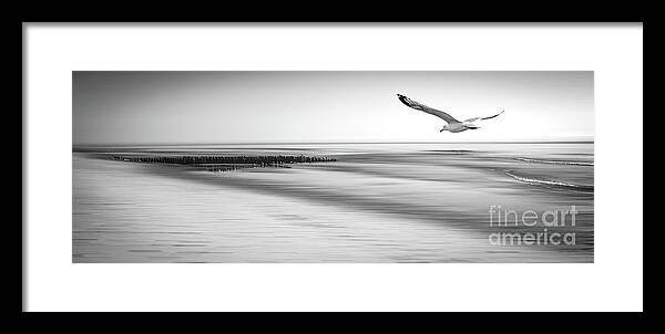 Beach Framed Print featuring the photograph Desire Light Bw by Hannes Cmarits