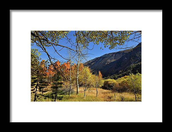 Bishop Creek Framed Print featuring the photograph Fall in Bishop Creek #2 by Dung Ma