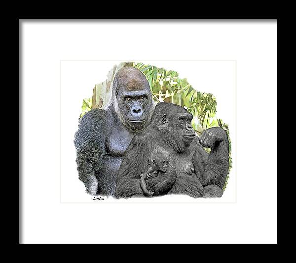 Gorilla Framed Print featuring the digital art Family Portrait #2 by Larry Linton