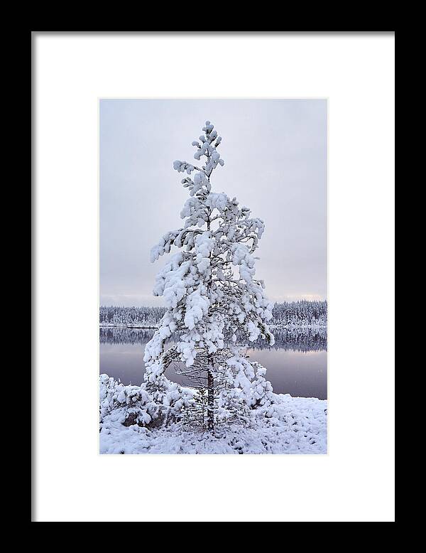 Jouko Lehto Framed Print featuring the photograph First Snow #3 by Jouko Lehto