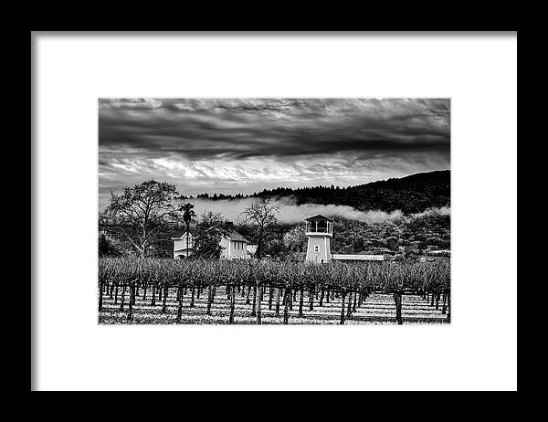 Napa Valley Framed Print featuring the photograph Fog Over The Vineyard #2 by Mountain Dreams
