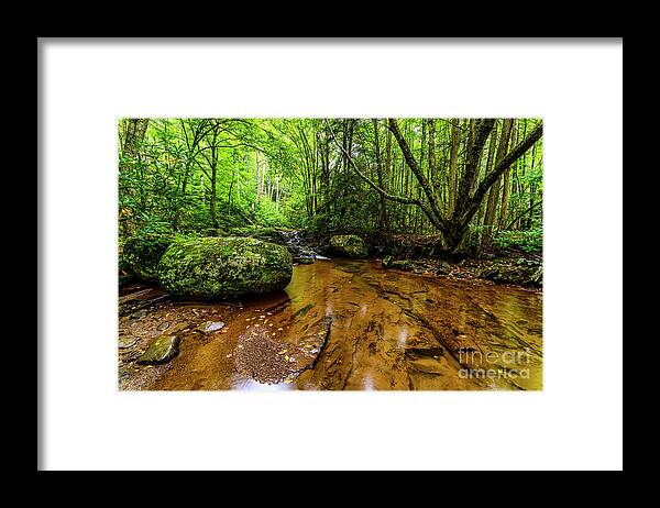 Monongahela National Forest Framed Print featuring the photograph Hills Creek Monongahela National Forest #2 by Thomas R Fletcher