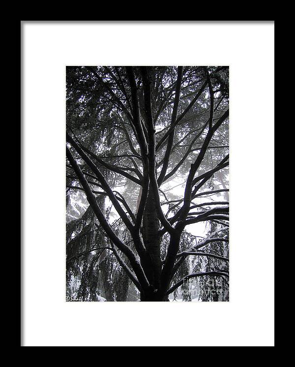 Albero Framed Print featuring the photograph Home #2 by Ilaria Andreucci