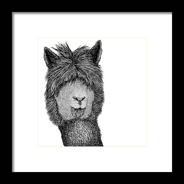 Drawing Framed Print featuring the drawing Llama #2 by Karl Addison