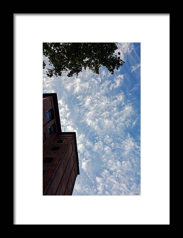 Sky Framed Print featuring the photograph Looking Up #3 #2 by Dana Sohr