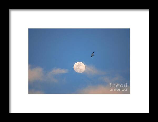  Moon Framed Print featuring the photograph 2- Moon Bird by Joseph Keane