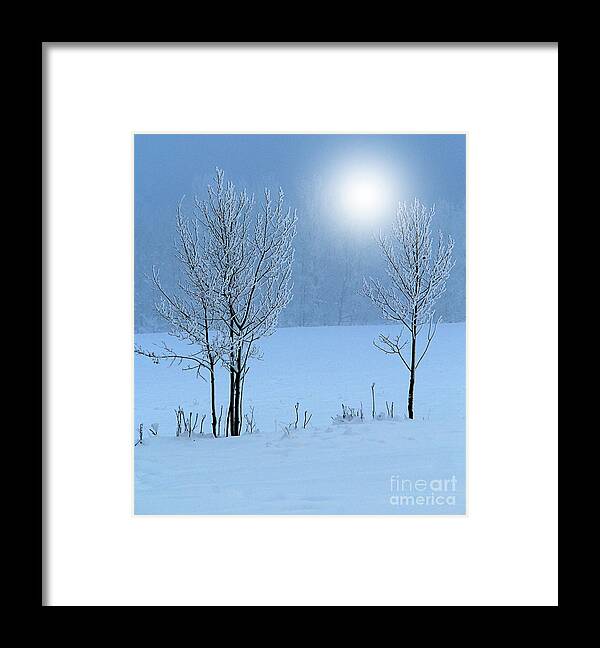 Hoar Frost Framed Print featuring the photograph Morning Frost #2 by Roland Stanke