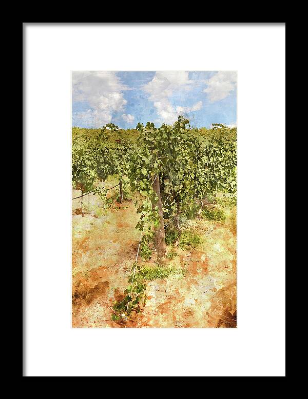 Sky Framed Print featuring the photograph Napa Vineyard in the Spring #2 by Brandon Bourdages