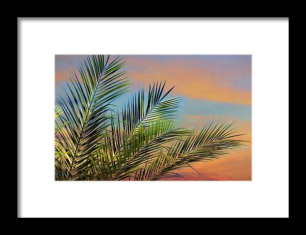 Naples Framed Print featuring the photograph Naples Palms #2 by Lori Deiter