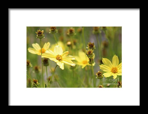 Yellow Framed Print featuring the photograph Nature's Beauty 68 by Deena Withycombe