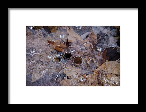 December Framed Print featuring the photograph Natures Patterns #2 by Alana Ranney