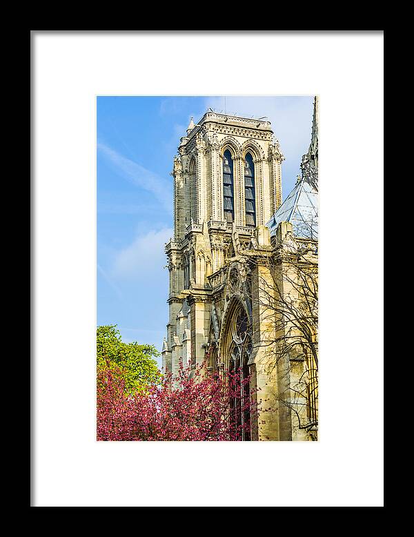 Architecture Framed Print featuring the photograph Notre Dame Bell Tower with Blooming Trees. by Nila Newsom