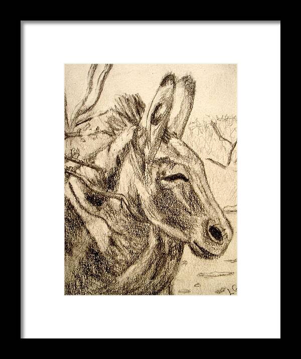Donkey Framed Print featuring the drawing Oatman Burro #2 by Lessandra Grimley