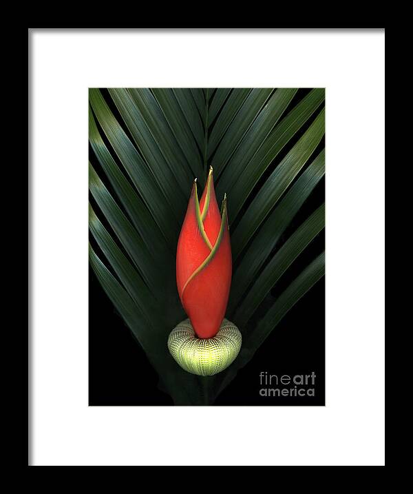 Scanart Framed Print featuring the photograph Palm of Fire by Christian Slanec