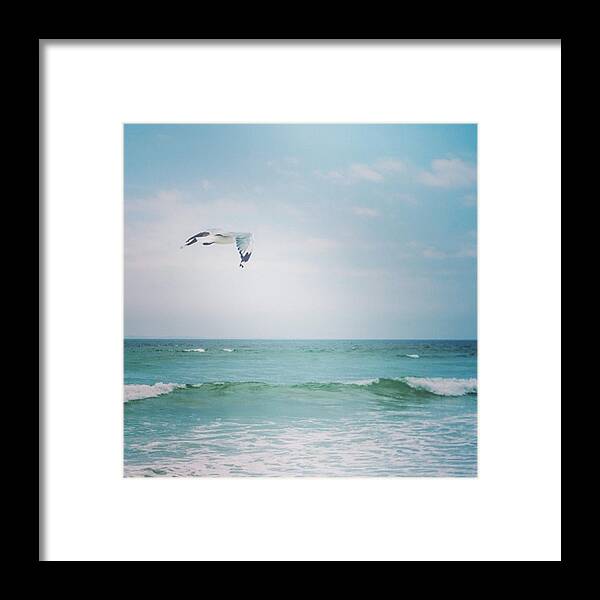Peace Framed Print featuring the photograph Peace #2 by Aleck Cartwright