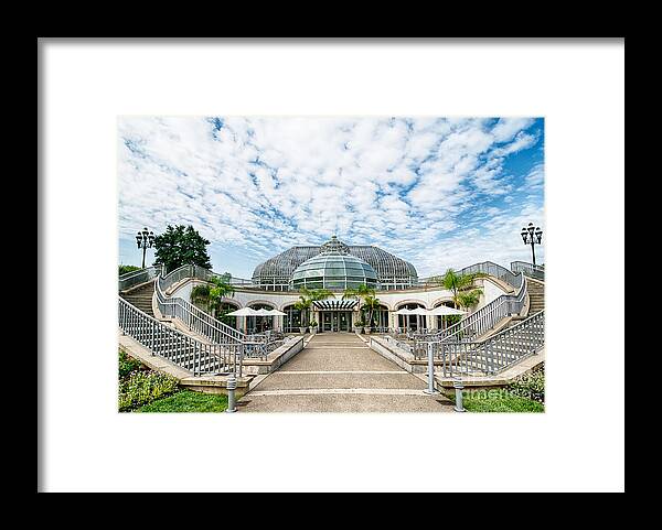 Phipps Conservatory Framed Print featuring the photograph Phipps Conservatory Pittsburgh Pennsylvania #2 by Amy Cicconi