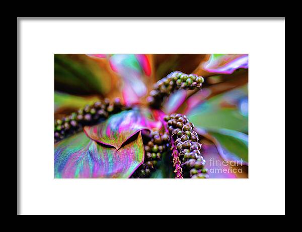 Plants Framed Print featuring the photograph Plants and Flowers in Hawaii #4 by D Davila