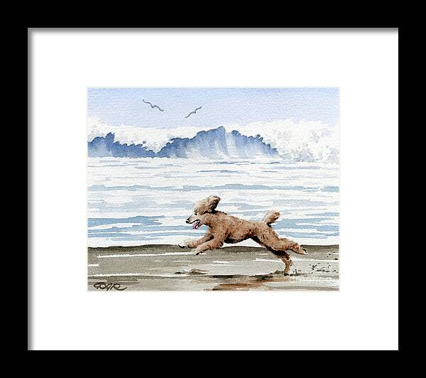 Poodle Framed Print featuring the painting Poodle at the Beach #1 by David Rogers