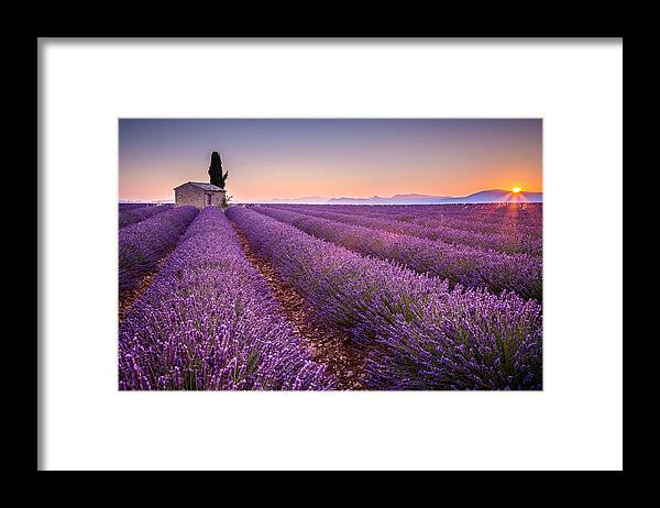 Provence Framed Print featuring the photograph Provence #2 by Stefano Termanini