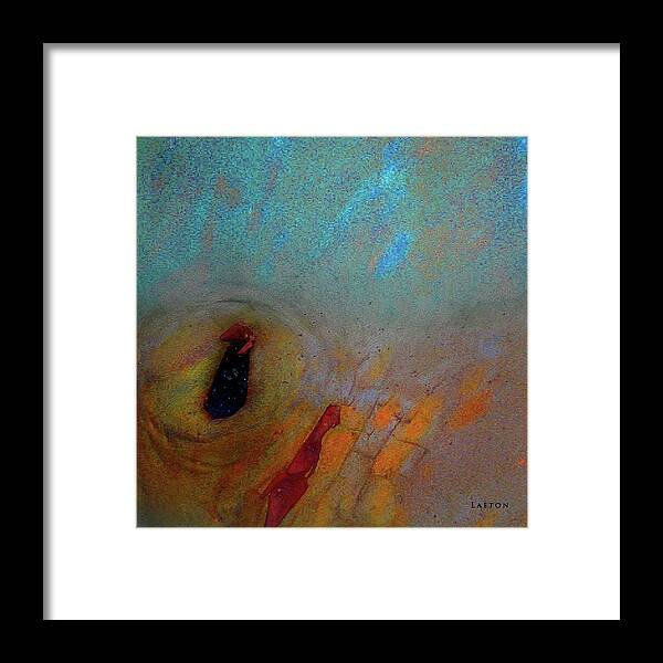 Abstract Framed Print featuring the digital art Purification #2 by Richard Laeton