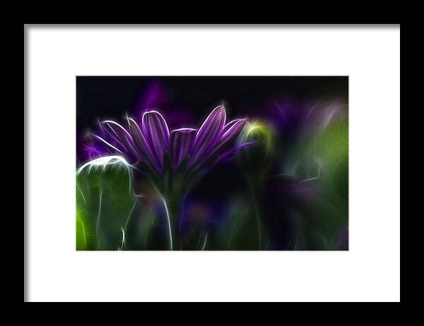Abstract Framed Print featuring the photograph Purple Daisy by Stelios Kleanthous