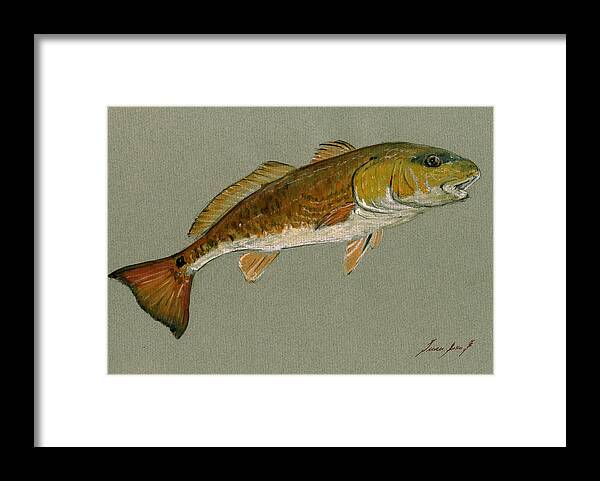 Redfish Framed Print featuring the painting Redfish painting #2 by Juan Bosco