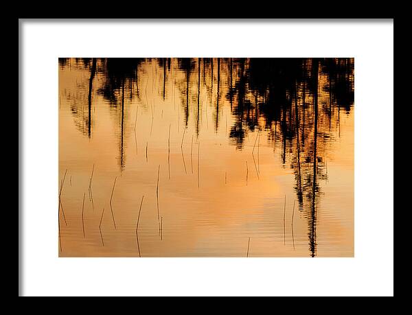 Adirondack Forest Preserve Framed Print featuring the photograph Reflections by Bob Grabowski