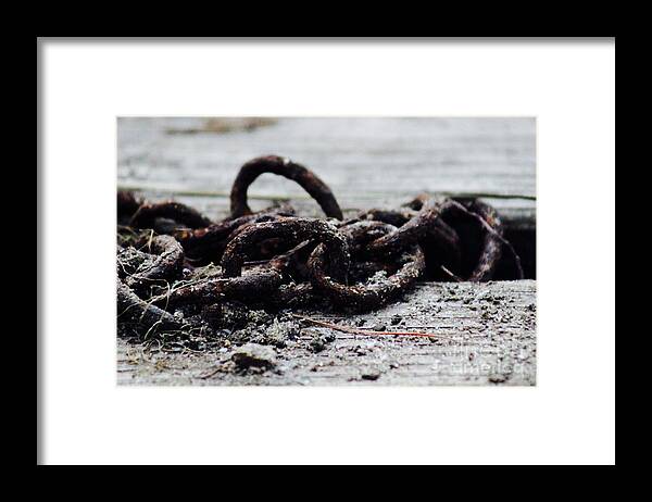 Rust Framed Print featuring the photograph Rusty Chain by Deena Withycombe