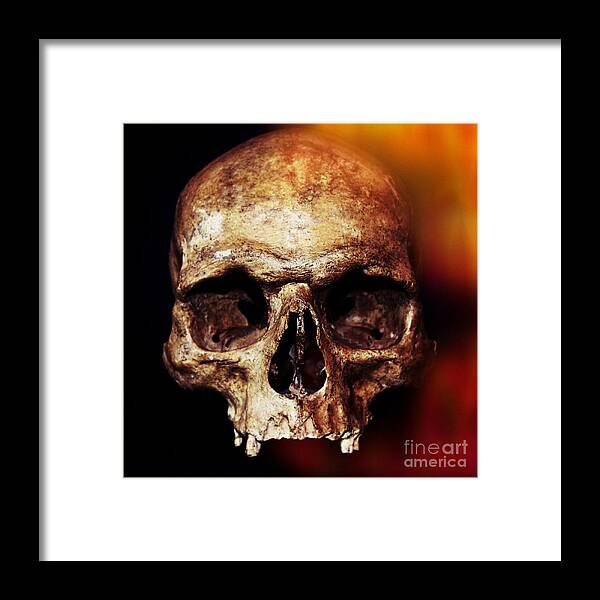 Halloween Framed Print featuring the photograph Skull by Iryna Liveoak