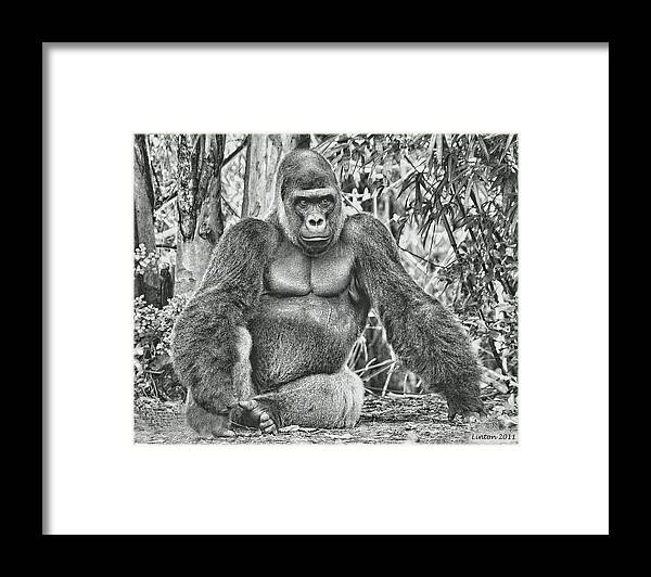 Silverback Framed Print featuring the digital art Silverback by Larry Linton