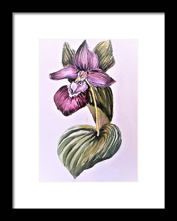 Orchid Framed Print featuring the painting Slipper Foot Orchid #2 by Mindy Newman